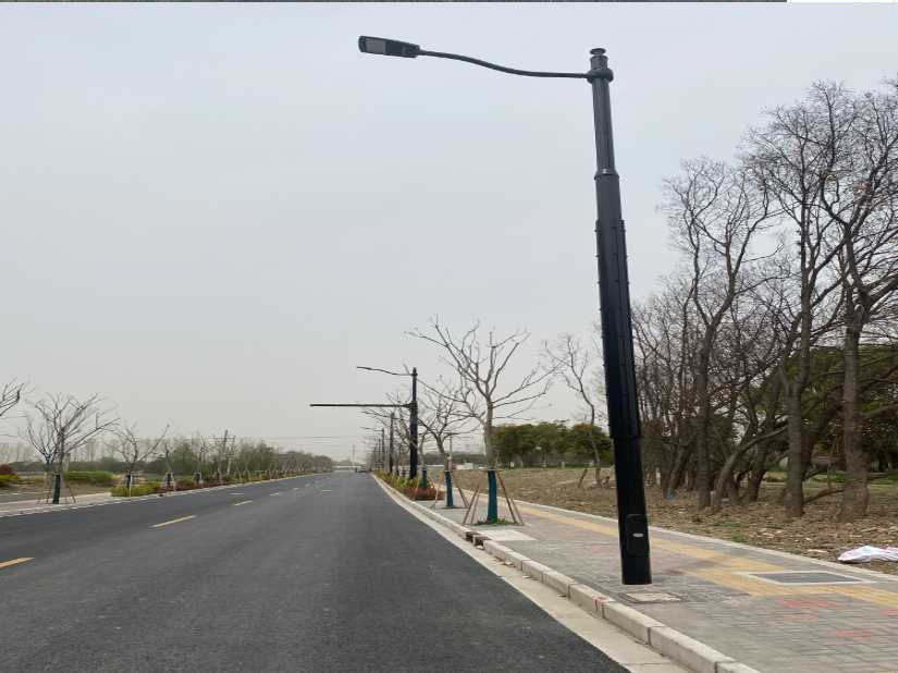 柴桑区上海综合杆 太阳能路灯工程